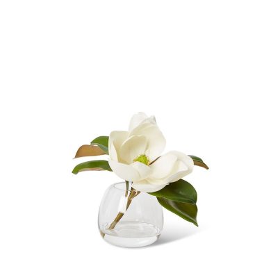 Magnolia Classic