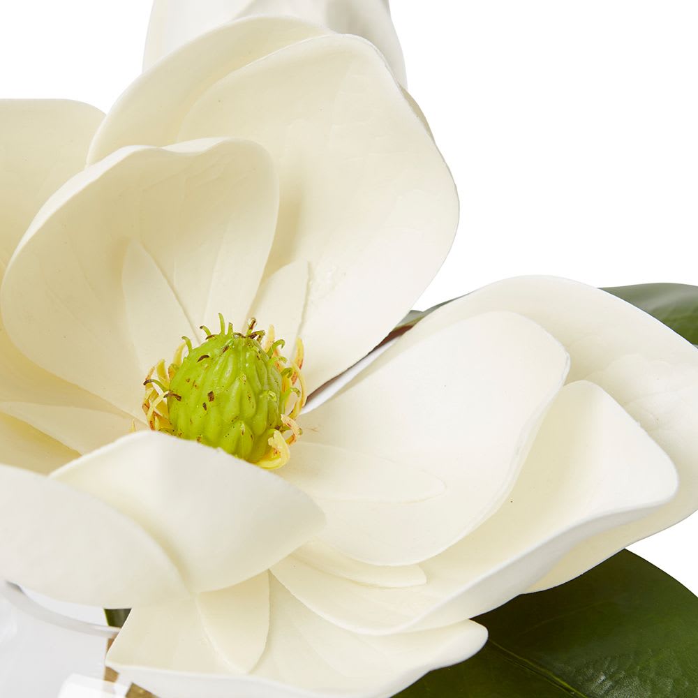 Magnolia Classic