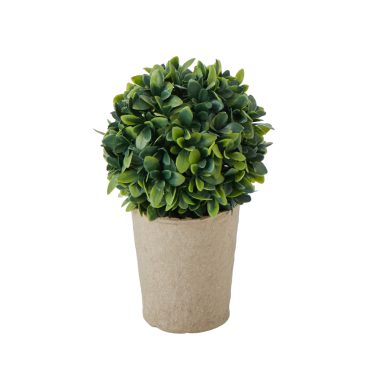 RG Mini Topiary Plant