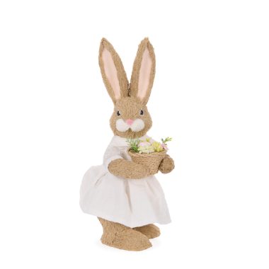 MRS DAISY WITH CARROTS