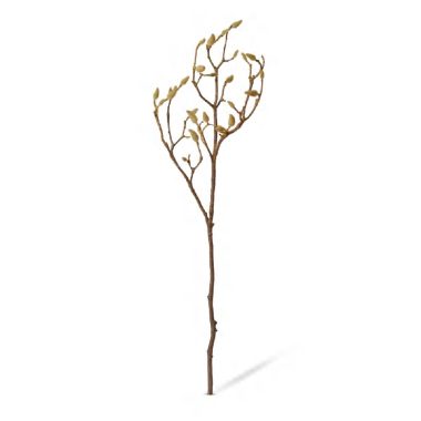 Magnolia Bud Branch Natural - 30x14x86cm