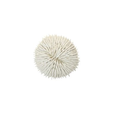White Poly Fungia Coral