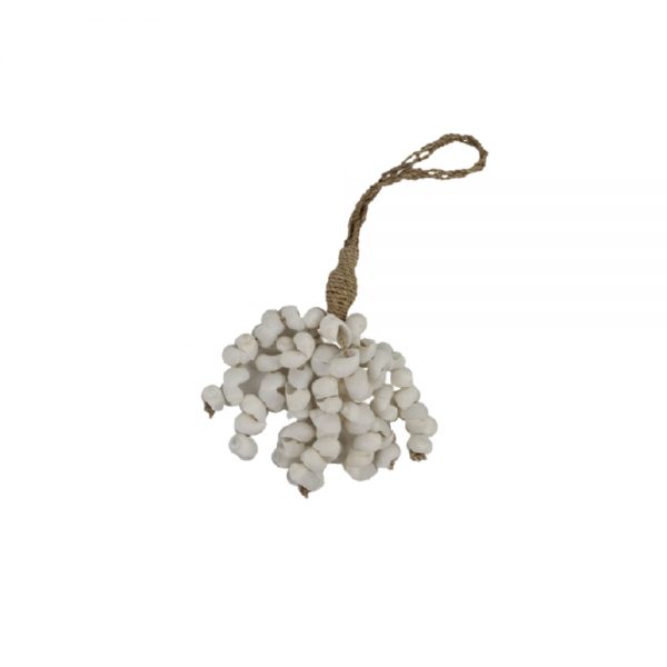 Cluster Shell White SML
