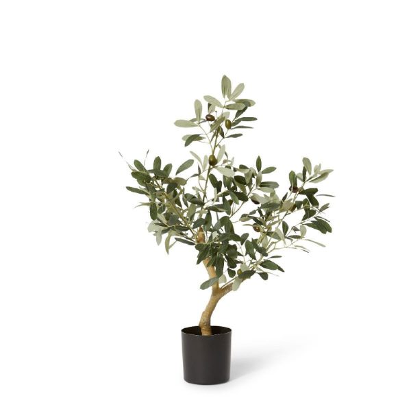Olive Tree Grey Green