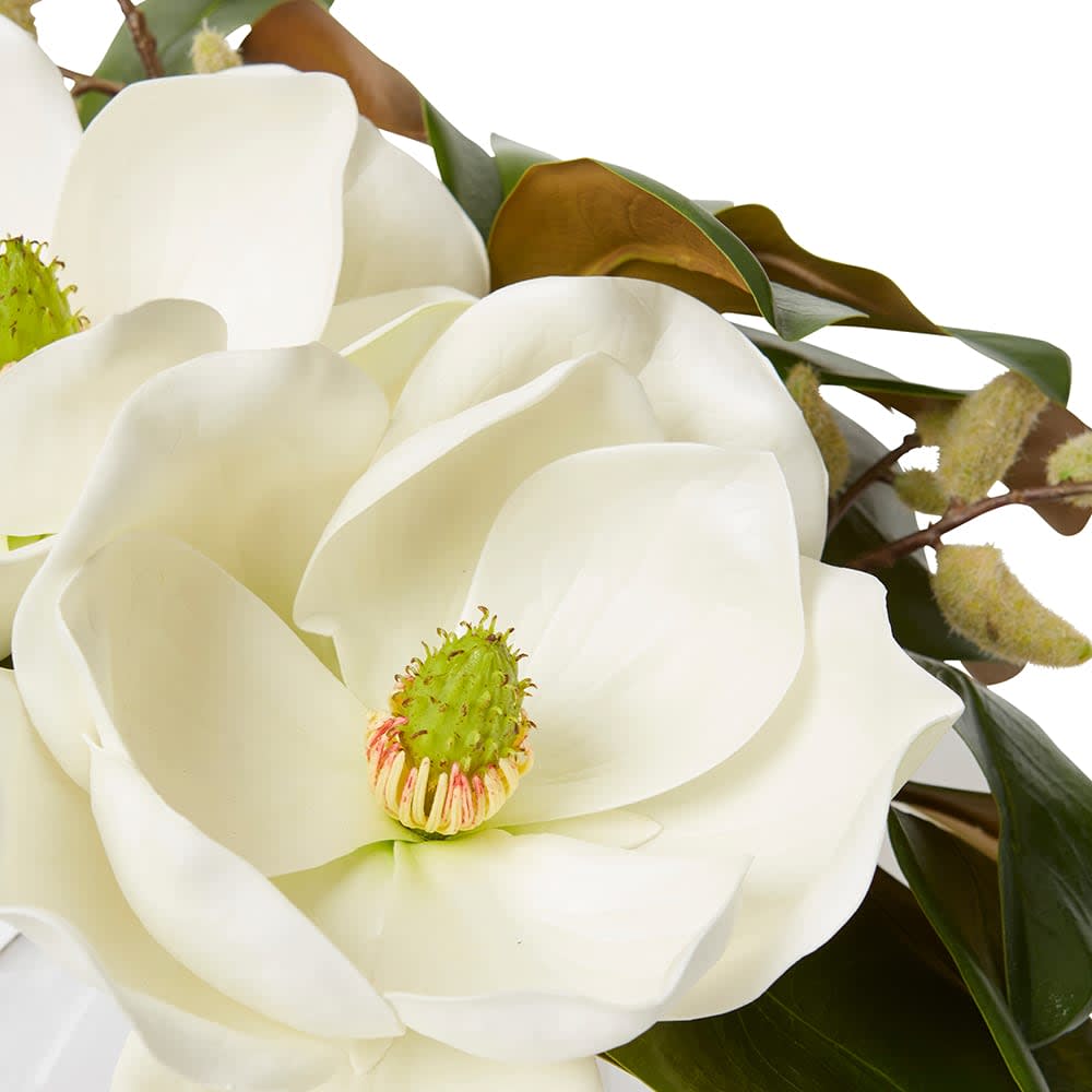 Magnolia Garden (DS)