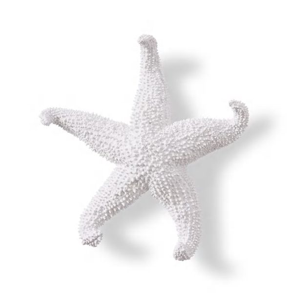 Starfish Ochre - White -24x24x5cm