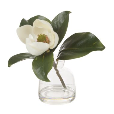 Magnolia Stem-Glass Vase 26cm
