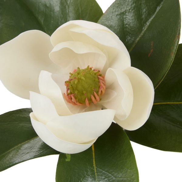 Magnolia Stem-Glass Vase 26cm