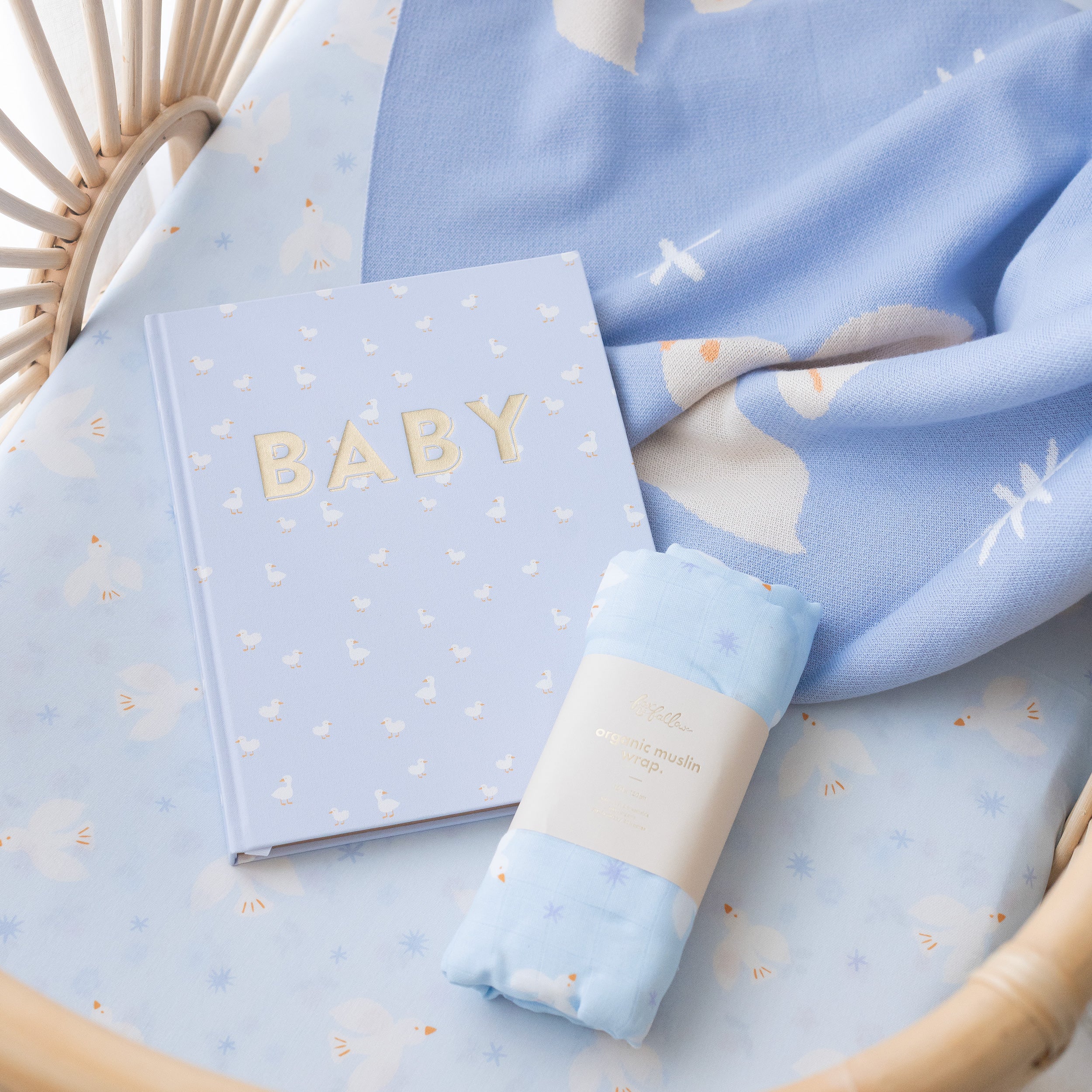 Baby Book Blue Ducks