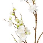 Blossom Plum Spray White Large