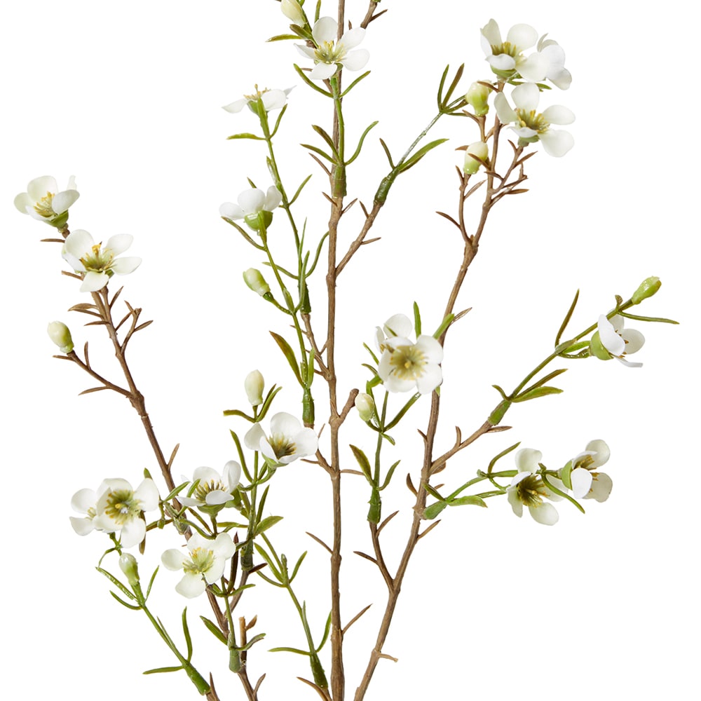 Wax Flower Spray