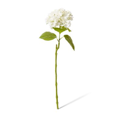 Hydrangea Bloom Stem Ivoy