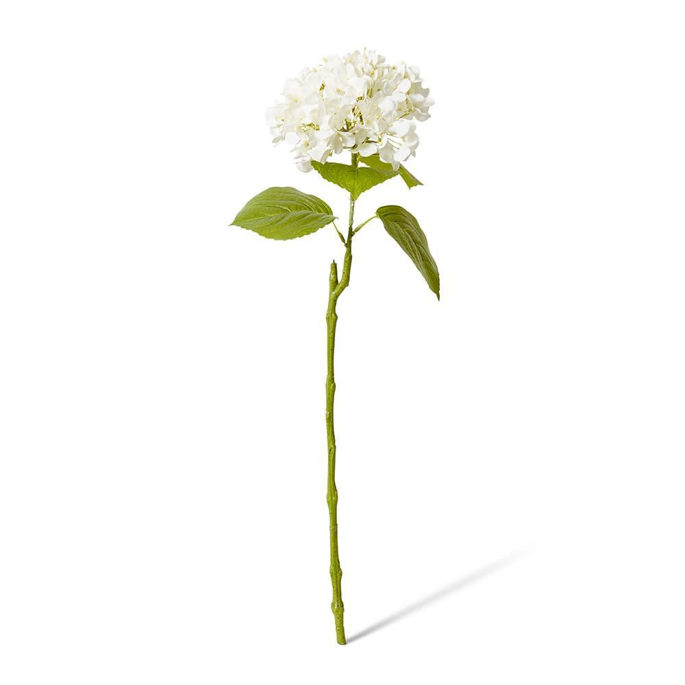 Hydrangea Bloom Stem Ivoy