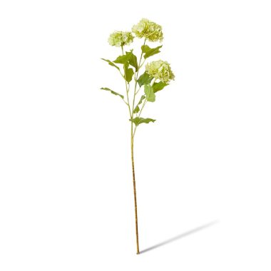Snowball Spray Green