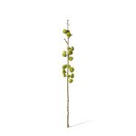 Fig Stem - Green -15x15x74cm