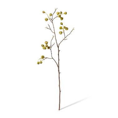 Mountain Apple Berry Branch Green