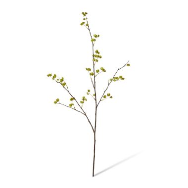 Elm Seeding Spray Green 84cm