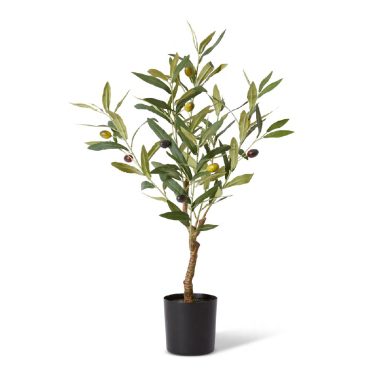 Olive Tree - Grey Green - 33x33x61cm