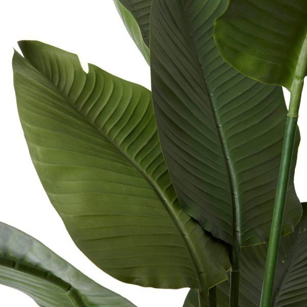Birds Of Paradise Green 185cm